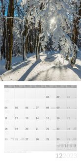 Zauber des Waldes Kalender 2023 - 30x30
