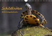 Produktbild: Schildkr&ouml;ten Geburtstagskalender (Wandkalender immerw&auml;hrend DIN A4 quer)