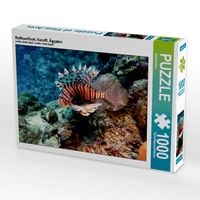 Produktbild: CALVENDO Puzzle Rotfeuerfisch, Koraffi, &Auml;gypten | 1000 Teile Lege-Gr&ouml;&szlig;e 64 &times; 48 cm Foto-Puzzle f&uuml;r gl&uuml;ckliche Stunden