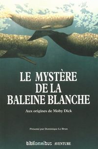 Produktbild: Le myst&egrave;re de la baleine blanche