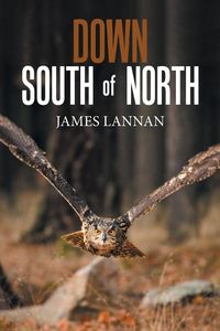 Produktbild: Down South of North