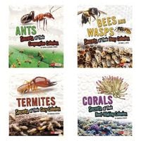 Produktbild: Amazing Animal Colonies