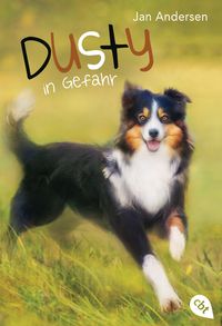 Produktbild: Dusty in Gefahr