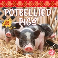 Produktbild: Potbellied Pigs