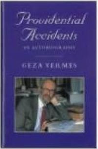 Produktbild: Providential Accidents