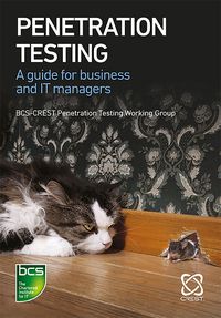 Produktbild: Penetration Testing