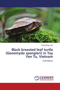 Produktbild: Black breasted leaf turtle (Geoemyda spengleri) in Tay Yen Tu, Vietnam