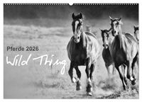Produktbild: Pferde 2026 Wild Thing (Wandkalender 2026 DIN A2 quer), CALVENDO Monatskalender
