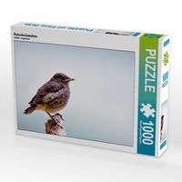 Produktbild: CALVENDO Puzzle Rotschw&auml;nzchen | 1000 Teile Lege-Gr&ouml;&szlig;e 64 &times; 48 cm Foto-Puzzle f&uuml;r gl&uuml;ckliche Stunden
