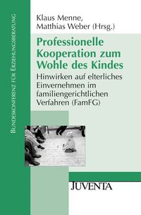 Produktbild: Professionelle Kooperation zum Wohle des Kindes