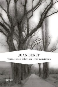Produktbild: Variaciones sobre un tema rom&aacute;ntico