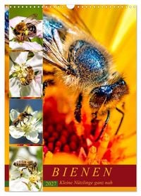 Produktbild: BIENEN - Kleine N&uuml;tzlinge ganz nah (Wandkalender 2027 DIN A3 hoch), CALVENDO Monatskalender