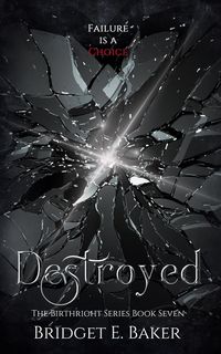 Produktbild: Destroyed
