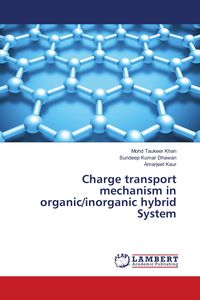 Produktbild: Charge transport mechanism in organic/inorganic hybrid System