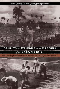 Produktbild: Identity and Struggle at the Margins of the Nation-State