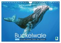 Produktbild: Buckelwale: Aus den blauen Tiefen der Ozeane (Wandkalender 2026 DIN A4 quer), CALVENDO Monatskalender