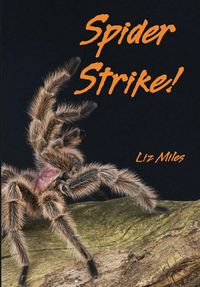 Produktbild: Spider Strike!