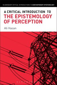 Produktbild: A Critical Introduction to the Epistemology of Perception