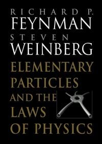 Bild vom Artikel Elementary Particles and the Laws of Physics vom Autor Richard P. Feynman