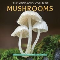 Produktbild: The Wondrous World of Mushrooms Wall Calendar 2027