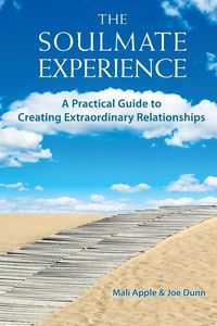 Produktbild: The Soulmate Experience