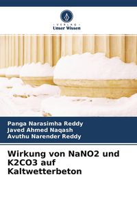 Produktbild: Wirkung von NaNO2 und K2CO3 auf Kaltwetterbeton