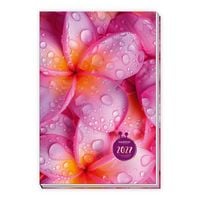 Produktbild: TR&Ouml;TSCH - Taschenkalender A6 Flowers 2027