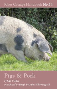 Produktbild: Pigs & Pork
