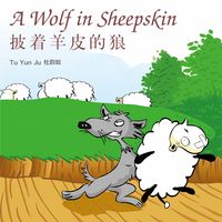 Produktbild: A Wolf in Sheepskin 披着羊皮的狼