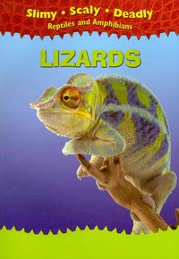 Produktbild: Lizards