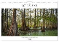Produktbild: Louisiana - S&uuml;mpfe und Plantagenh&auml;user (Wandkalender 2026 DIN A4 quer), CALVENDO Monatskalender