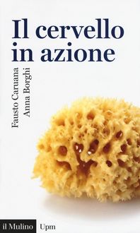 Produktbild: Il cervello in azione