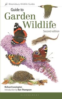 Produktbild: Guide to Garden Wildlife (2nd edition)