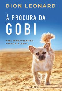 Produktbild: &Agrave; procura da gobi