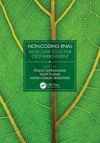 Produktbild: Non-Coding RNAs