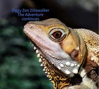 Produktbild: Ziggy Zon Zillawalker The Adventure Continues (Zillawalker adventure, #2)