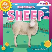 Produktbild: Life Cycle of a Sheep