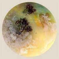 Produktbild: Every Martyr is a Universe