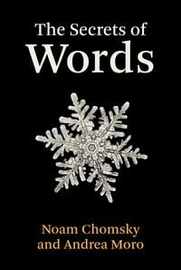 Produktbild: The Secrets of Words