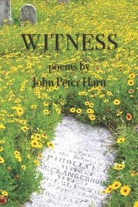 Produktbild: Witness