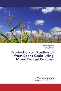 Produktbild: Production of Bioethanol from Spent Grain Using Mixed Fungal Cultures