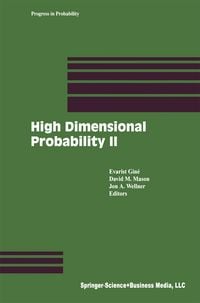 Produktbild: High Dimensional Probability II