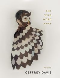 Produktbild: One Wild Word Away