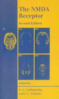 Produktbild: Nmda Receptor 2/e