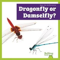 Produktbild: Dragonfly or Damselfly?