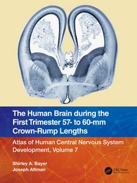 Produktbild: The Human Brain during the First Trimester 57- to 60-mm Crown-Rump Lengths