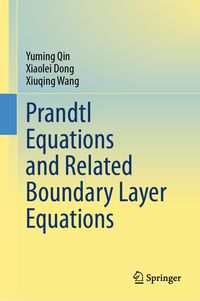 Produktbild: Prandtl Equations and Related Boundary Layer Equations