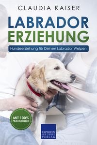 Produktbild: Labrador Erziehung - Hundeerziehung f&uuml;r Deinen Labrador Welpen