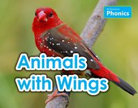 Produktbild: Animals with Wings