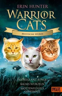 Produktbild: Warrior Cats - Mystische Spuren